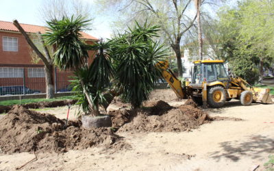 Remodelación, mejora y acondicionamiento del Parque de la Constitución.