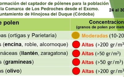 Información del captador de pólenes para la población de la Comarca de Los Pedroches desde el Excmo. Ayuntamiento de Hinojosa del Duque (Córdoba) – 24 al 30 mayo 2022
