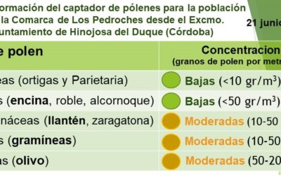 Información del captador de pólenes para la población de la Comarca de Los Pedroches desde el Excmo. Ayuntamiento de Hinojosa del Duque (Córdoba)