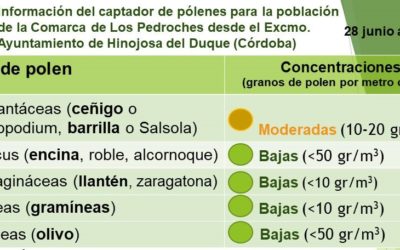 Información del captador de pólenes para la población de la Comarca de Los Pedroches desde el Excmo. Ayuntamiento de Hinojosa del Duque (Córdoba) – Del 28 de junio al 4 de julio de 2022