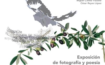 Exposición «Los Pedroches a vista de pájaro»