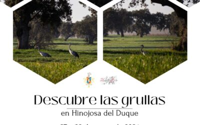 DESCUBRE LAS GRULLAS EN HINOJOSA DEL DUQUE