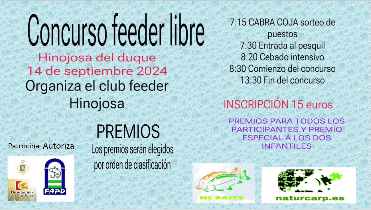 CONCURSO FEEDER PPT